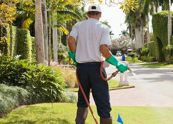About Oviedo FL Pest Control